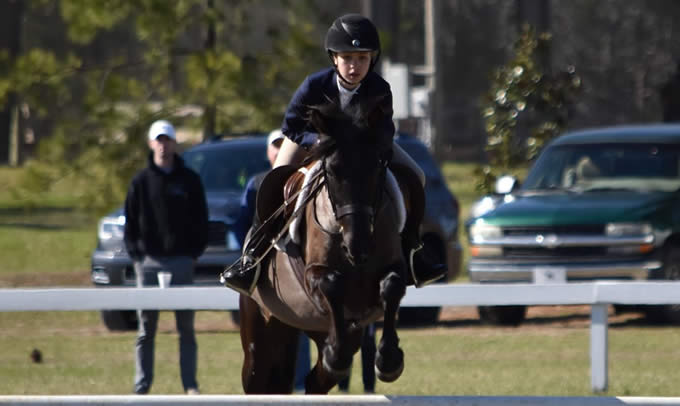 Equestrian show jumper